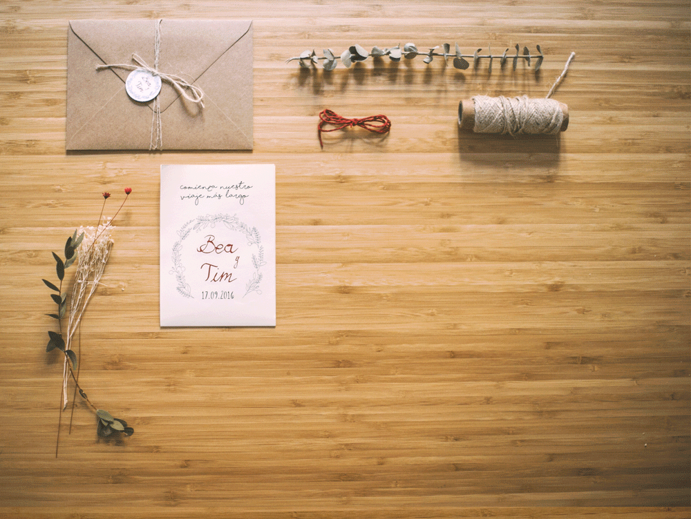 Patricia Bolaños - Comienzos